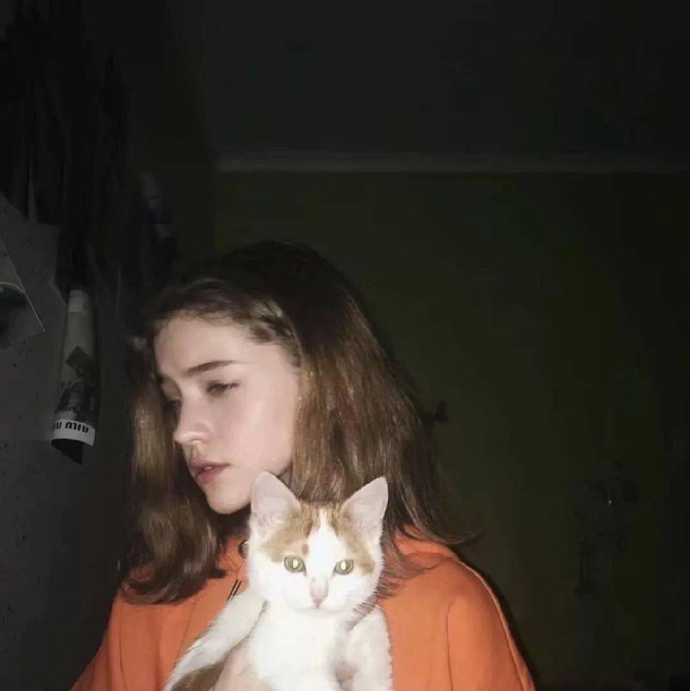 小森林素材铺 第39张.jpeg