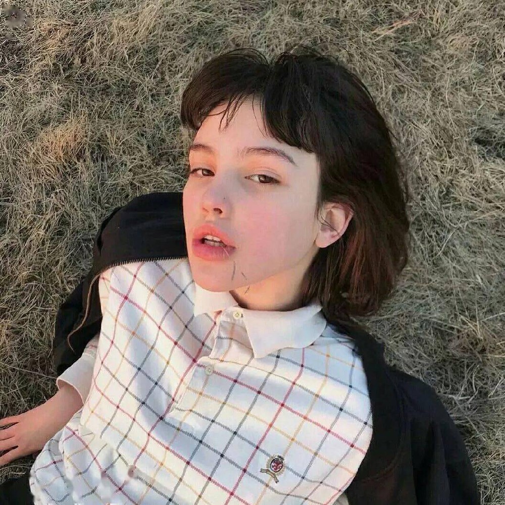 小森林素材铺 第9张.jpeg