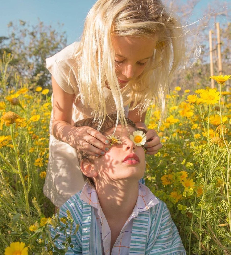 小森林素材铺 第530张.jpg